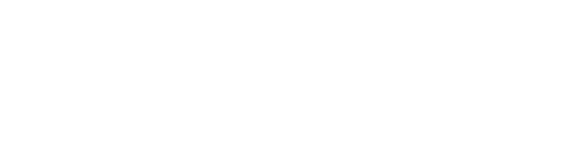 Conevity Solutions
